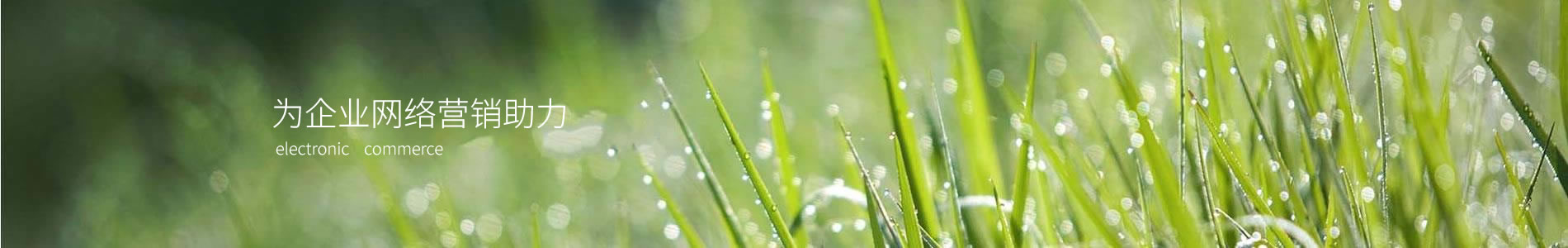 ȪӢӿƼ޹˾